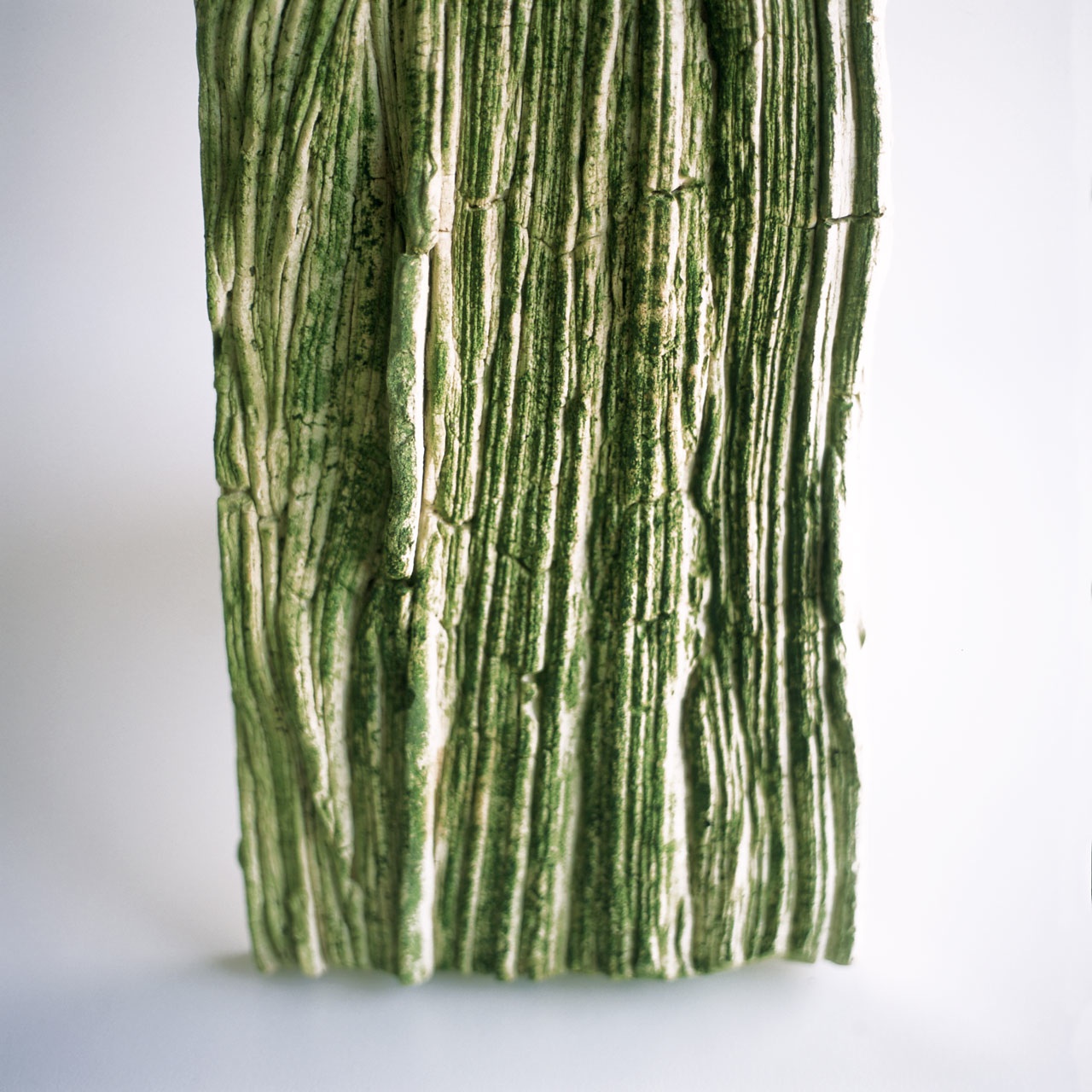 0010. mancha natural
