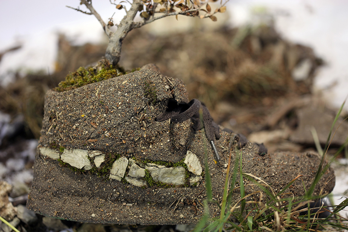 monsieur plant rock macro justgrowit copyright2014