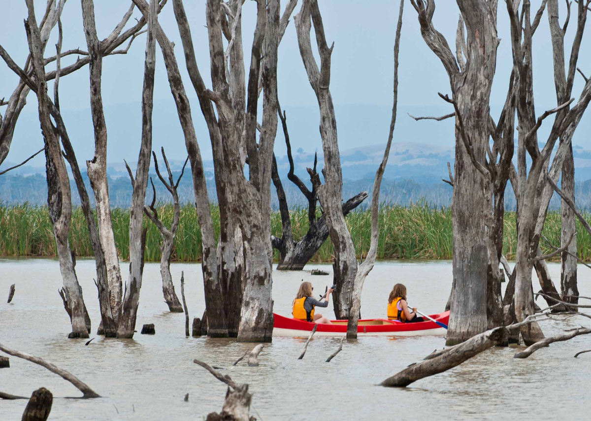 08 TCL StudioWinton Wetlands Lake Mokoan indigenous
			natural wetlands