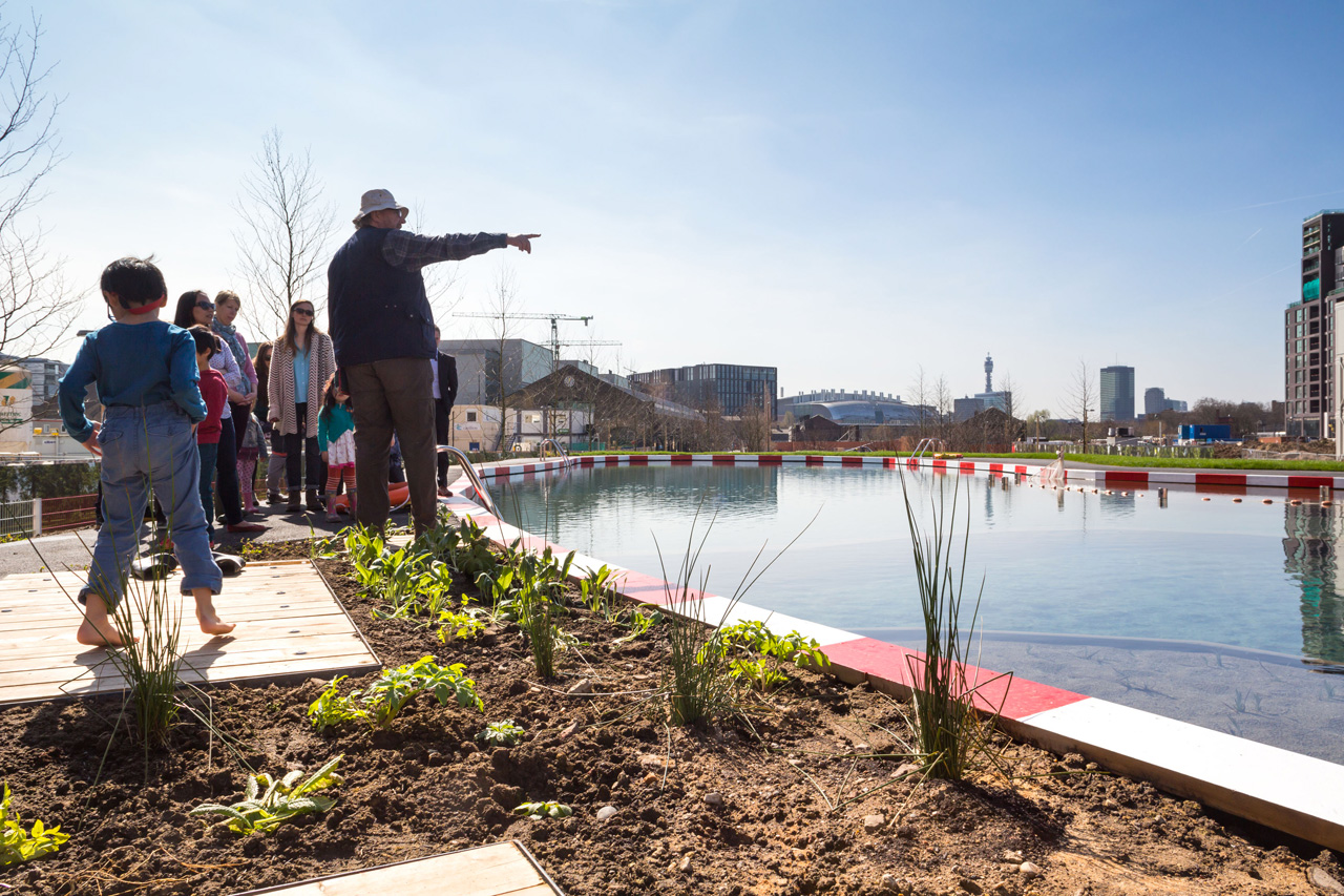 platformgreen public art KINGS CROSS land art arte e
			paesaggio biodiversit14