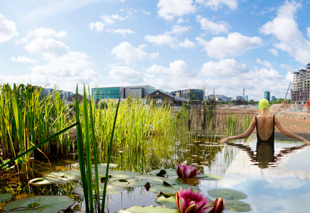 platformgreen public art KINGS CROSS land art arte e
			paesaggio biodiversit5