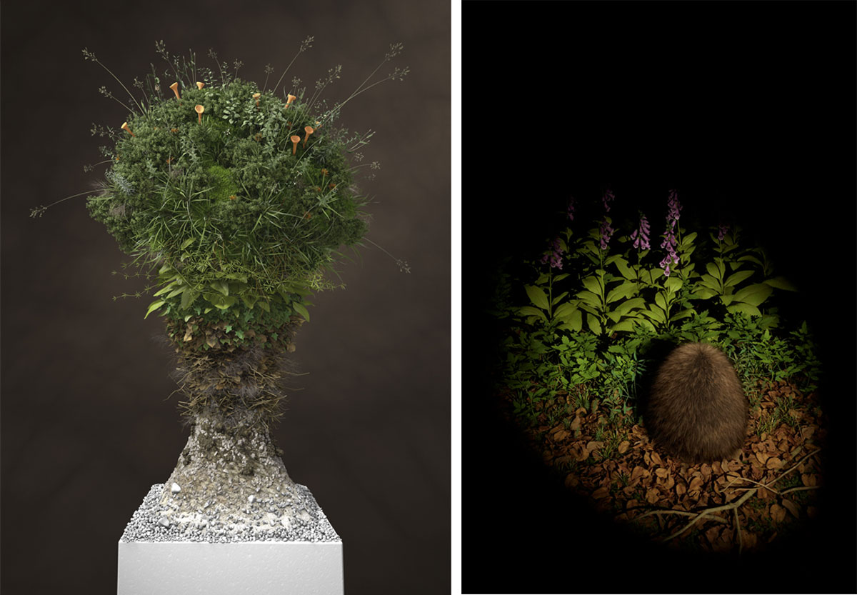 platform green eelco brand animazione 3D arte natura
			green2