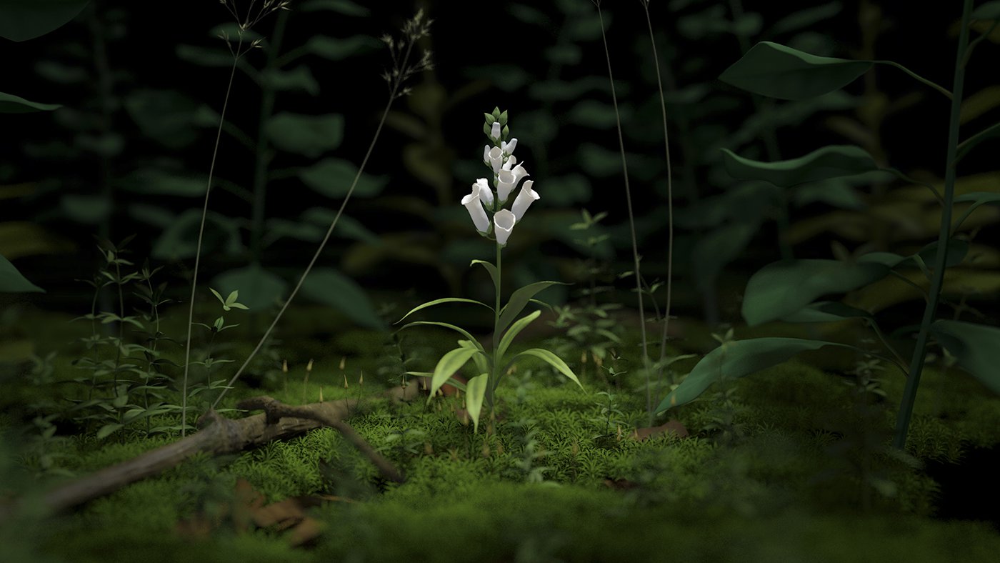 platform green eelco brand animazione 3D arte natura
			green5