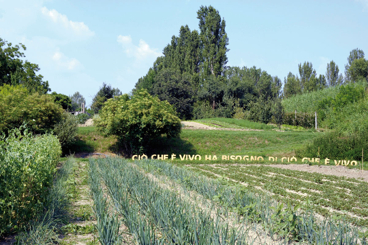 emanuela ascari platform green platform green ci che
			vivo culture tour mostra maxi arte natura azienda agricola