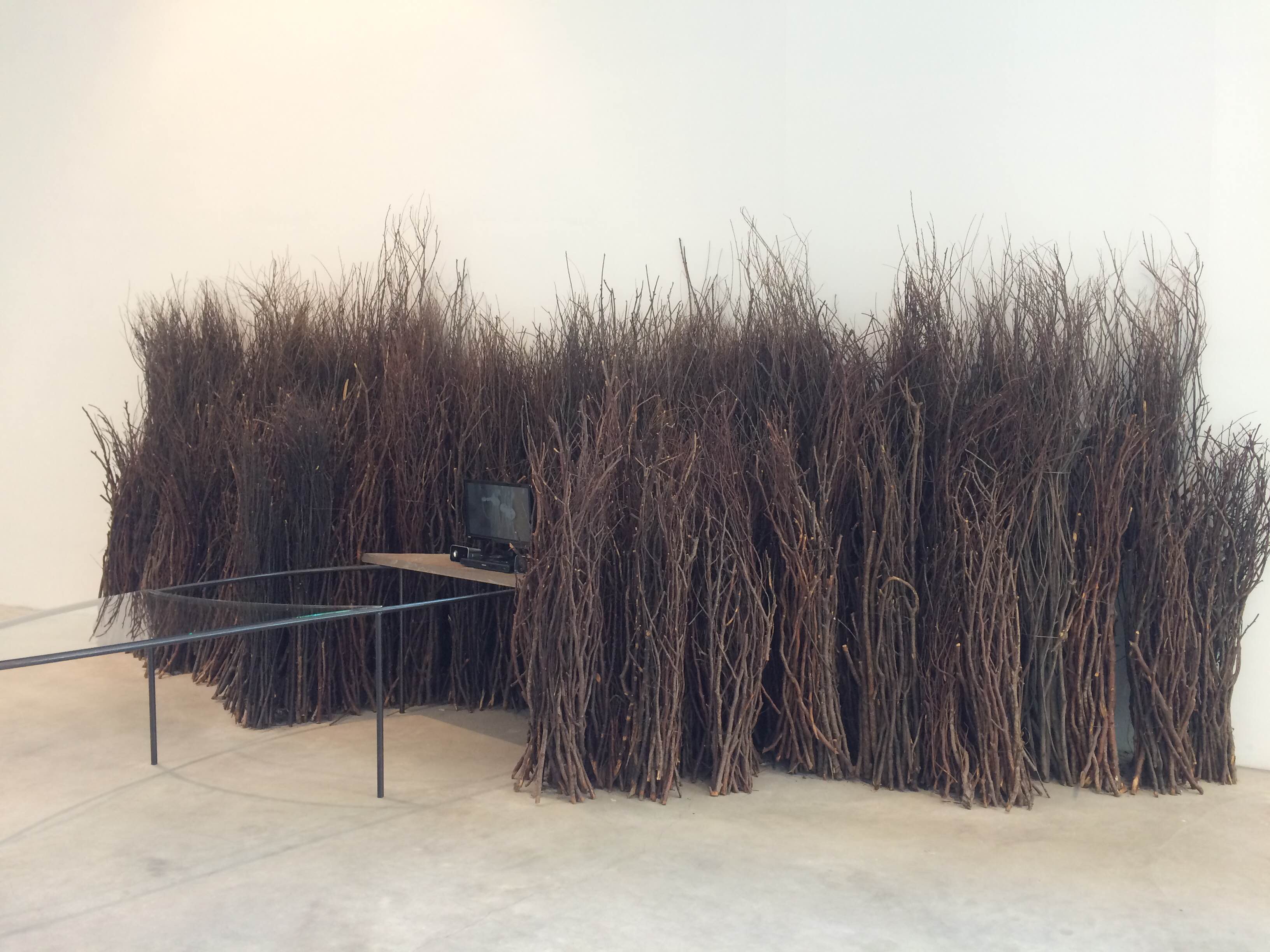 mario merz arte povera fondazione merz torino mostra la
			natura lequilibrio5