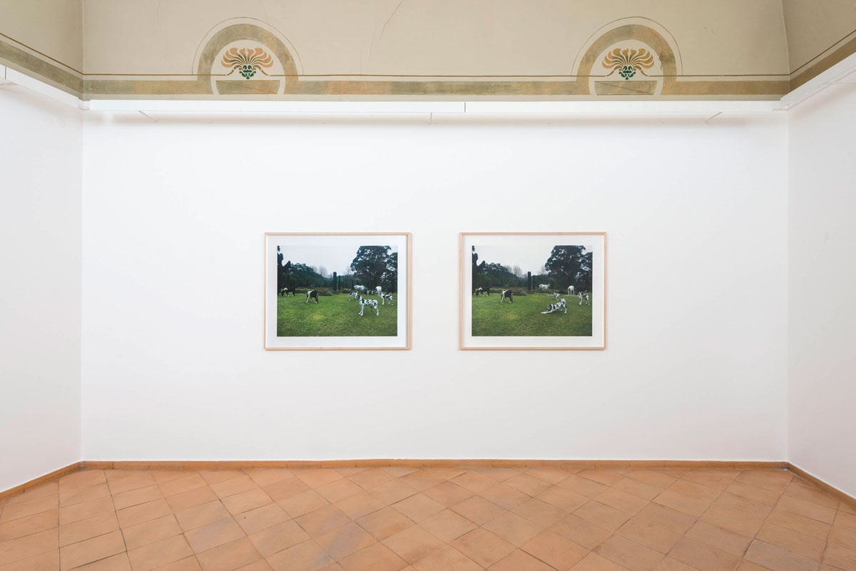 Orizzonti Vistamare galleria PescaraMimmo Jodice Armin
			Linke Darren Almond Mario Air Bethan Huws Man Ray Linda Fregni
			Nagler Luigi Ghirri Mario Giacomelli