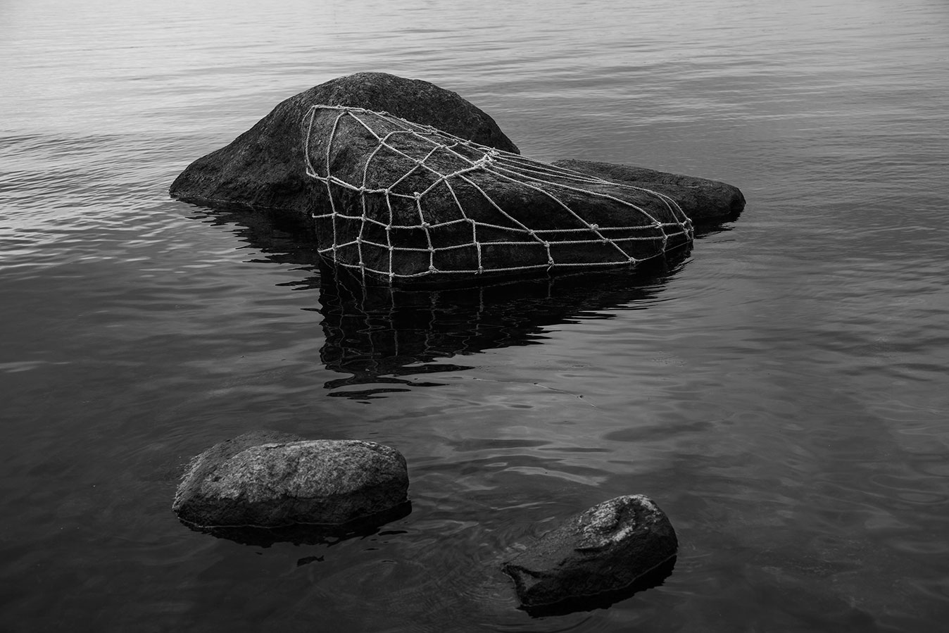 ANNA REIVIL artist photography ropes landscape natural
			elements2