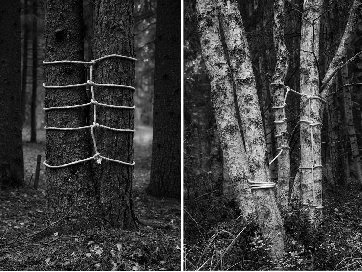 ANNA REIVIL artist photography ropes landscape natural
			elements5