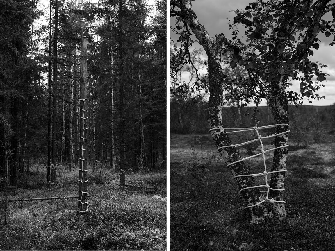ANNA REIVIL artist photography ropes landscape natural
			elements6