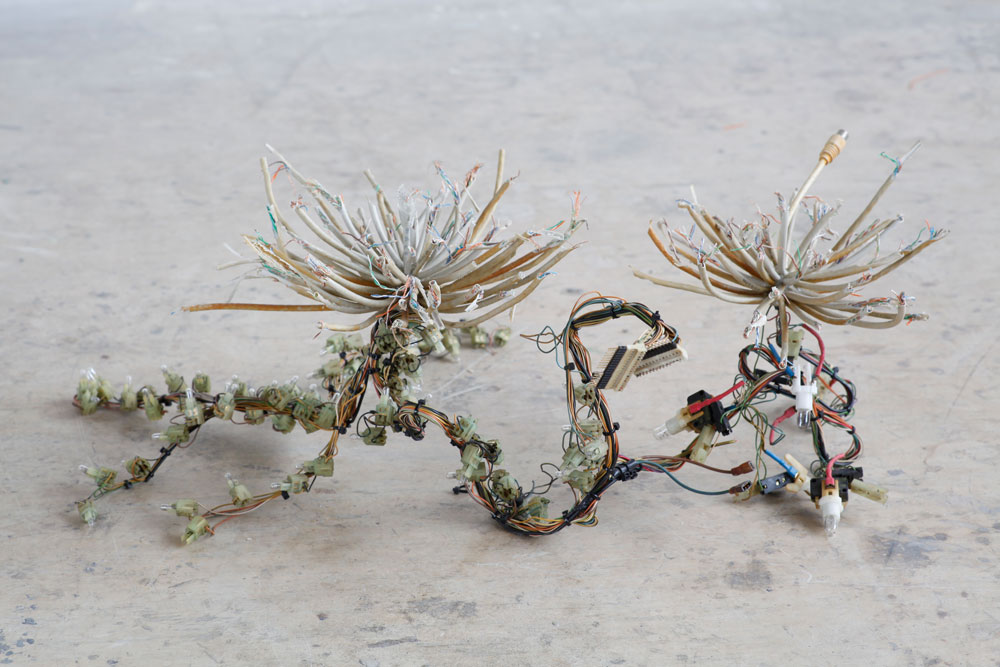 Kritof Kintera artista mostra collezione maramotti post
			naturalia naturale artificiale postmodern cali elettrici
			microchip1