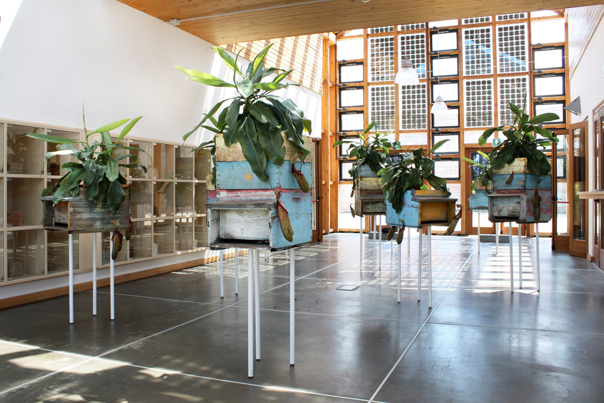 Filippo Leonardi artista mostra arte natura
			antropocentrismo ecologia green art green economy platform green
			pav torino