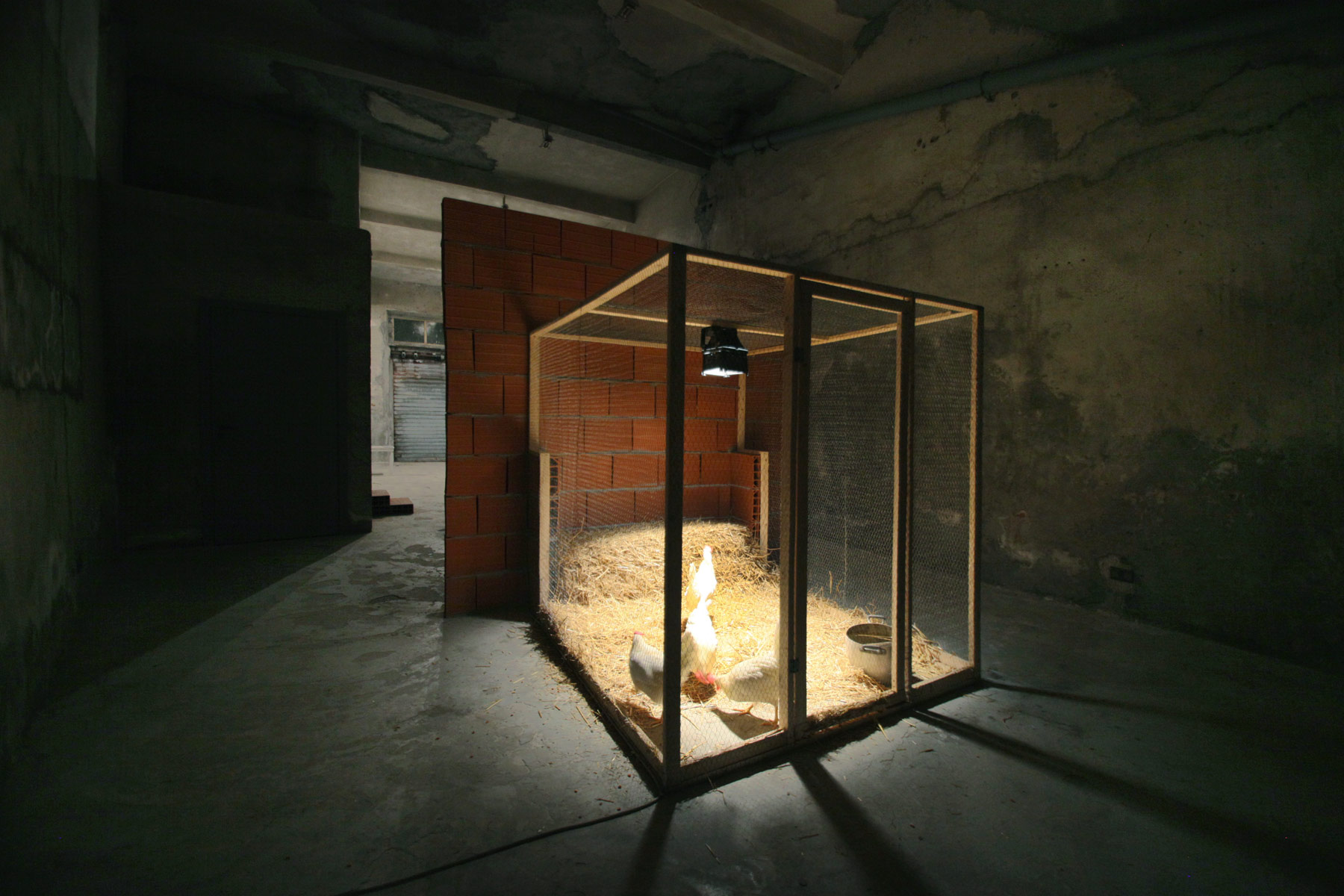 Filippo Leonardi artista mostra arte natura
			antropocentrismo ecologia green art green economy platform green3