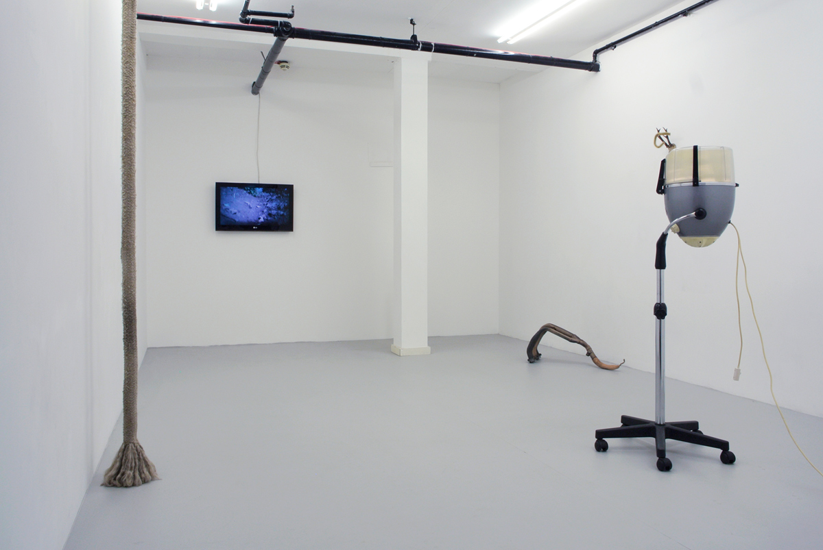 Filippo Leonardi artista mostra arte natura
			antropocentrismo ecologia green art green economy platform green4
