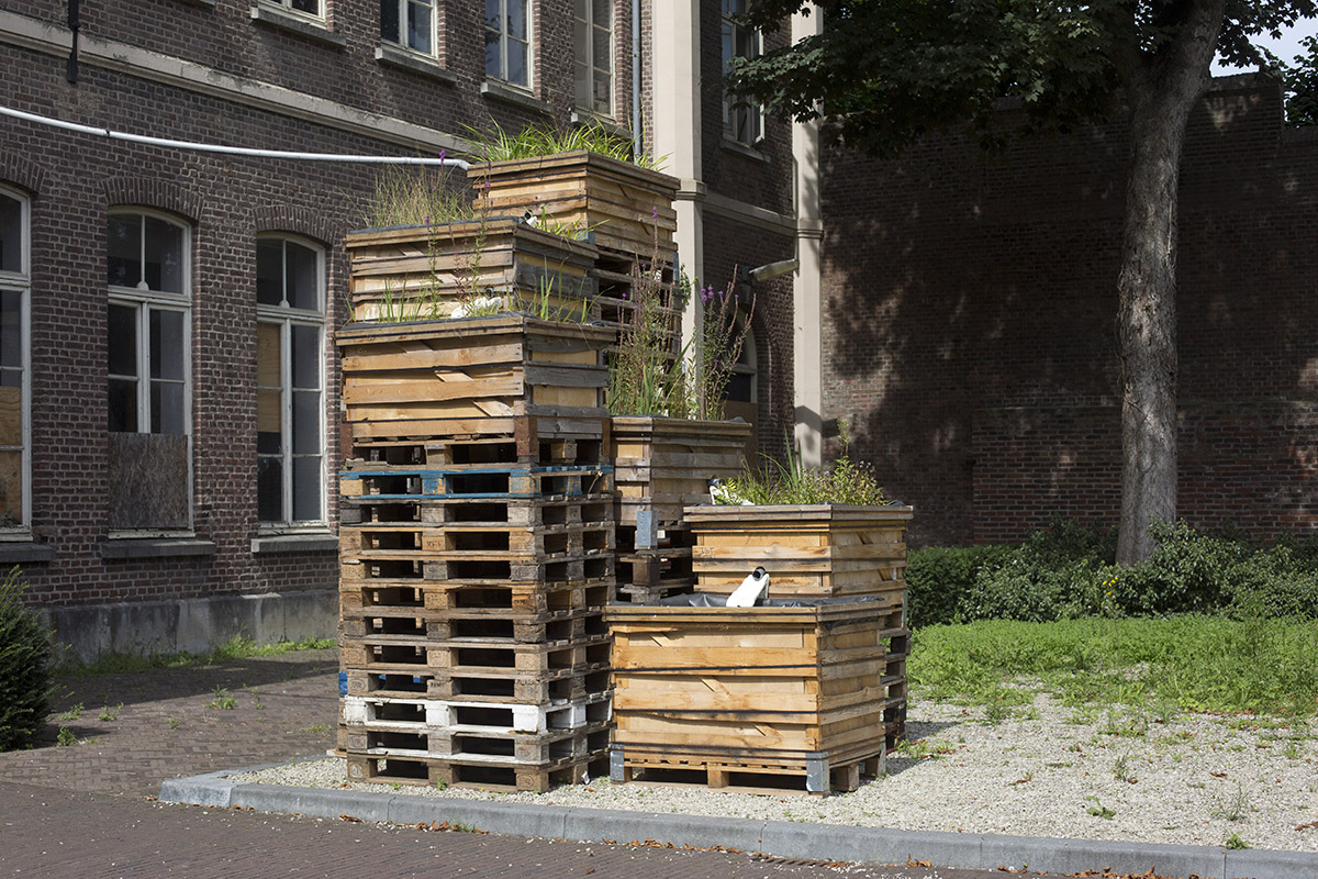 Vera Thaens Roof Runoff Purifying System photo Bert
			Janssen