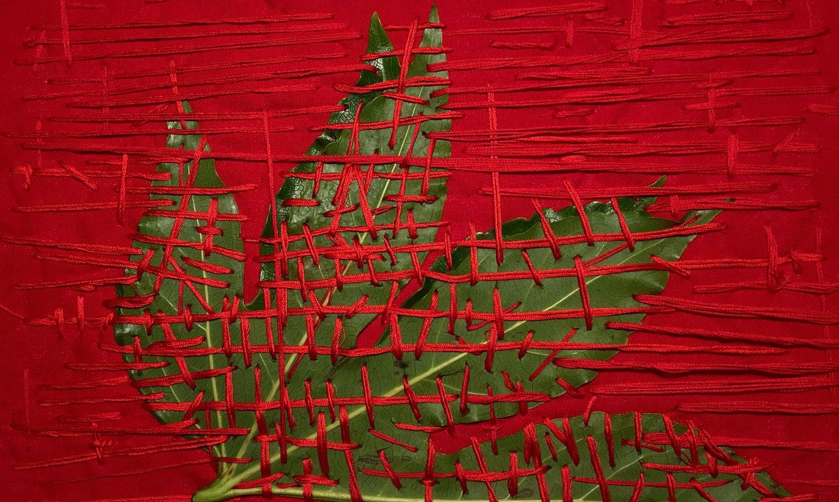 ThomasDeFalco Nature exhibition Triennale Milano tree
			2017 platformgreen